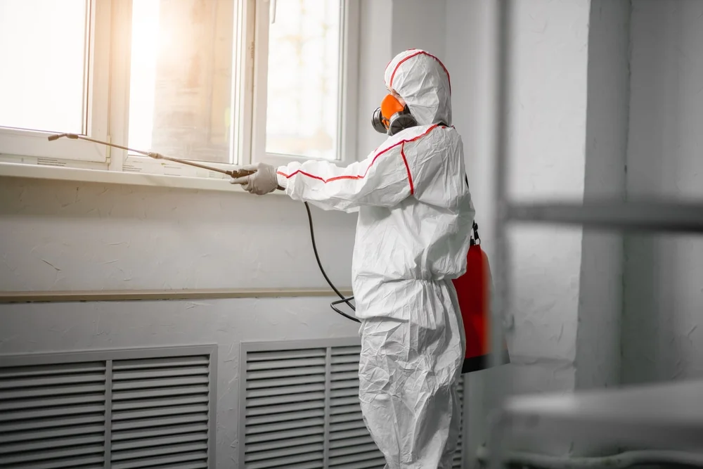 Professional mold remediation services in New Albany, IN